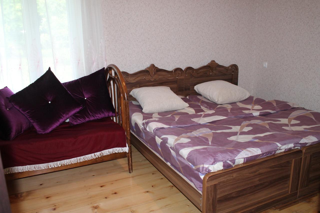 Beautiful Georgia Guesthouse Didi Jikhaishi Eksteriør billede